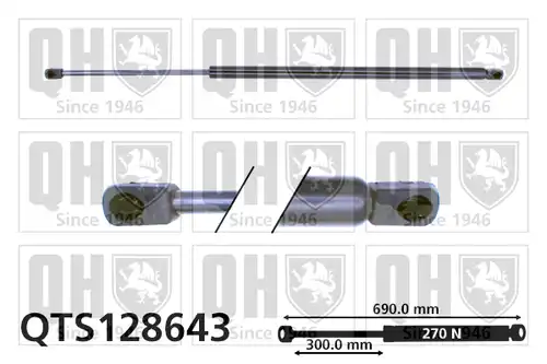 газов амортисьор, багажно/товарно пространство QUINTON HAZELL QTS128643