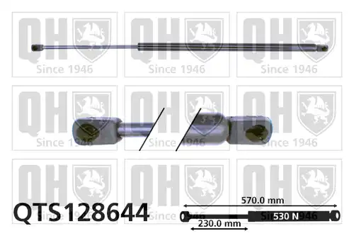 газов амортисьор, багажно/товарно пространство QUINTON HAZELL QTS128644