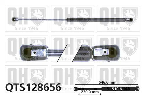 газов амортисьор, багажно/товарно пространство QUINTON HAZELL QTS128656