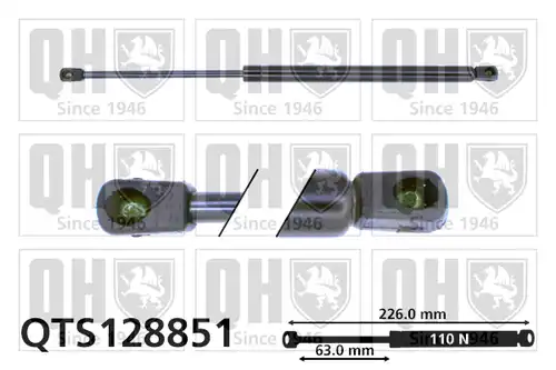 газов амортисьор, багажно/товарно пространство QUINTON HAZELL QTS128851