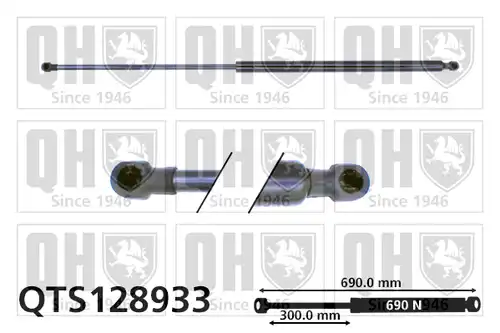 газов амортисьор, багажно/товарно пространство QUINTON HAZELL QTS128933