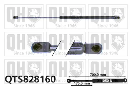 газов амортисьор, багажно/товарно пространство QUINTON HAZELL QTS828160