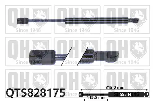 газов амортисьор, багажно/товарно пространство QUINTON HAZELL QTS828175