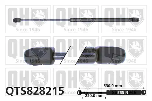 газов амортисьор, багажно/товарно пространство QUINTON HAZELL QTS828215