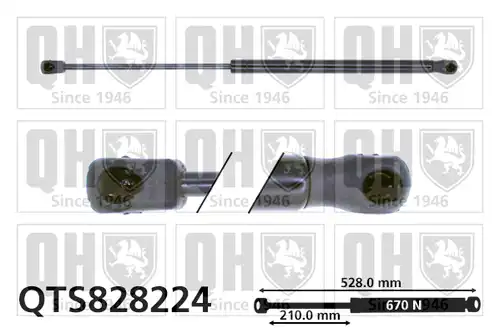 газов амортисьор, багажно/товарно пространство QUINTON HAZELL QTS828224