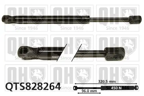 газов амортисьор, багажно/товарно пространство QUINTON HAZELL QTS828264