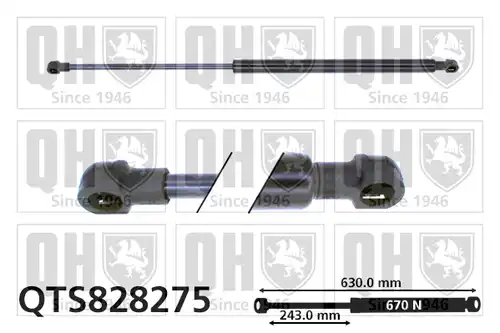 газов амортисьор, багажно/товарно пространство QUINTON HAZELL QTS828275