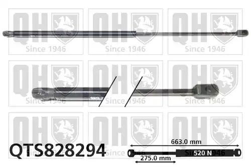 газов амортисьор, багажно/товарно пространство QUINTON HAZELL QTS828294