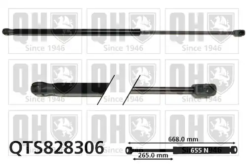 газов амортисьор, багажно/товарно пространство QUINTON HAZELL QTS828306