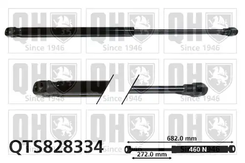 газов амортисьор, багажно/товарно пространство QUINTON HAZELL QTS828334