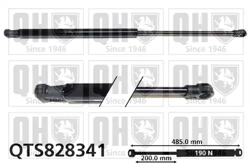 газов амортисьор, багажно/товарно пространство QUINTON HAZELL QTS828341