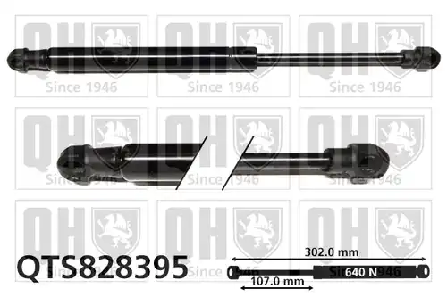 газов амортисьор, багажно/товарно пространство QUINTON HAZELL QTS828395