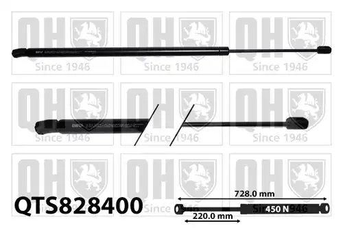 газов амортисьор, багажно/товарно пространство QUINTON HAZELL QTS828400