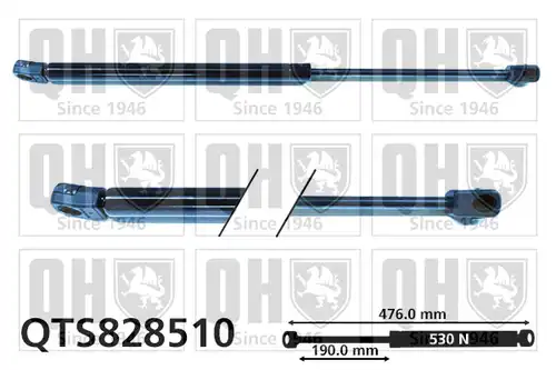 газов амортисьор, багажно/товарно пространство QUINTON HAZELL QTS828510