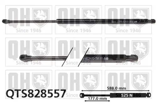 газов амортисьор, багажно/товарно пространство QUINTON HAZELL QTS828557