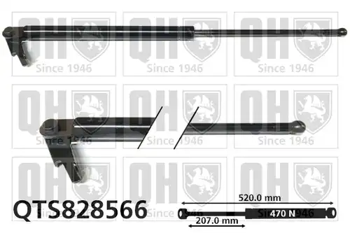 газов амортисьор, багажно/товарно пространство QUINTON HAZELL QTS828566