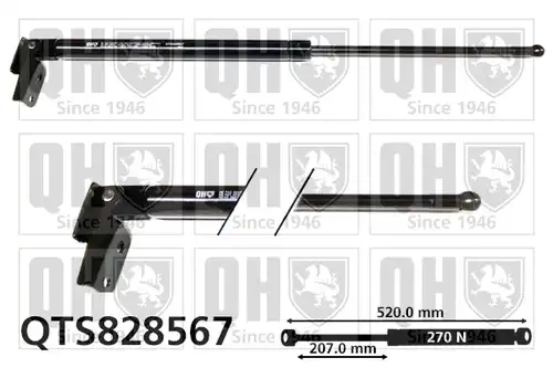 газов амортисьор, багажно/товарно пространство QUINTON HAZELL QTS828567