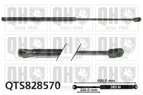 газов амортисьор, багажно/товарно пространство QUINTON HAZELL QTS828570