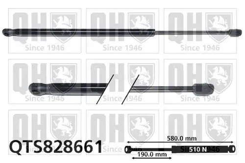 газов амортисьор, багажно/товарно пространство QUINTON HAZELL QTS828661