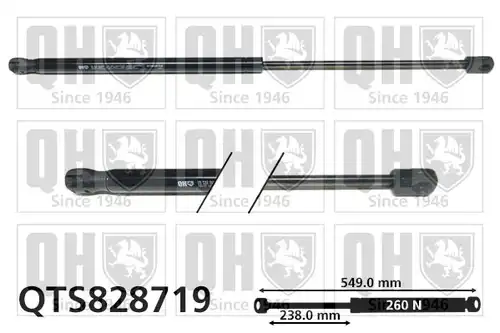 газов амортисьор, багажно/товарно пространство QUINTON HAZELL QTS828719