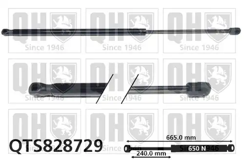 газов амортисьор, багажно/товарно пространство QUINTON HAZELL QTS828729