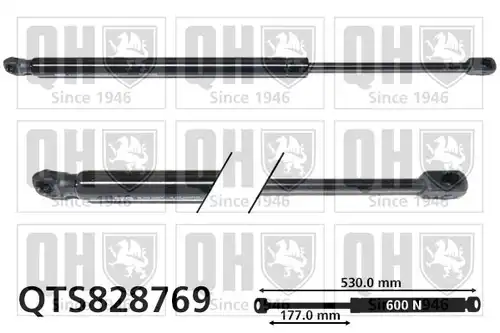 газов амортисьор, багажно/товарно пространство QUINTON HAZELL QTS828769