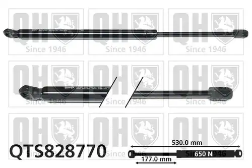 газов амортисьор, багажно/товарно пространство QUINTON HAZELL QTS828770