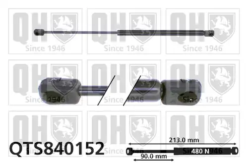 газов амортисьор, багажно/товарно пространство QUINTON HAZELL QTS840152