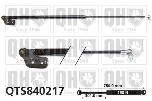 газов амортисьор, багажно/товарно пространство QUINTON HAZELL QTS840217