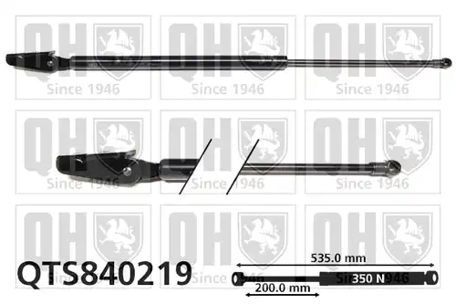 газов амортисьор, багажно/товарно пространство QUINTON HAZELL QTS840219