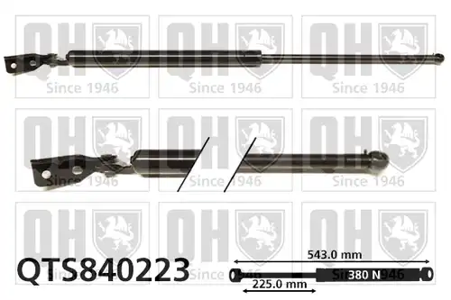 газов амортисьор, багажно/товарно пространство QUINTON HAZELL QTS840223