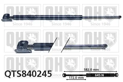 газов амортисьор, багажно/товарно пространство QUINTON HAZELL QTS840245