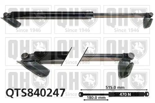 газов амортисьор, багажно/товарно пространство QUINTON HAZELL QTS840247