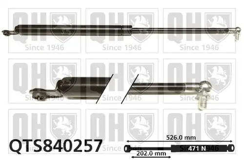 газов амортисьор, багажно/товарно пространство QUINTON HAZELL QTS840257