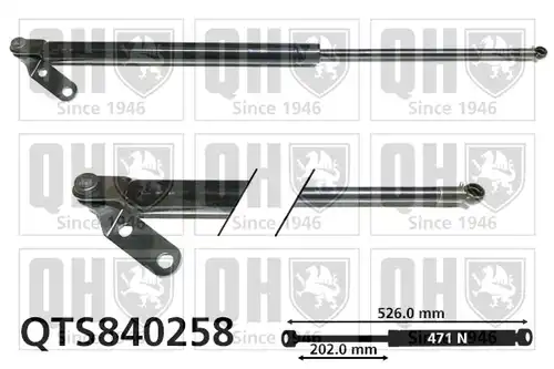 газов амортисьор, багажно/товарно пространство QUINTON HAZELL QTS840258