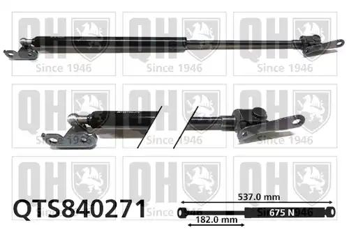 газов амортисьор, багажно/товарно пространство QUINTON HAZELL QTS840271