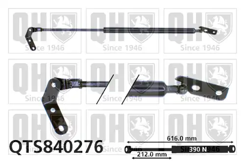 газов амортисьор, багажно/товарно пространство QUINTON HAZELL QTS840276