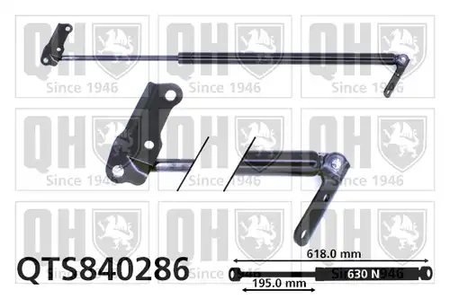 газов амортисьор, багажно/товарно пространство QUINTON HAZELL QTS840286