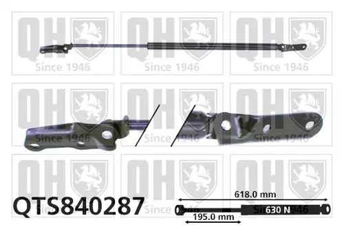 газов амортисьор, багажно/товарно пространство QUINTON HAZELL QTS840287