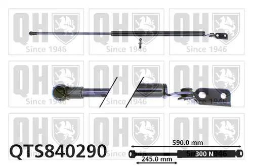 газов амортисьор, багажно/товарно пространство QUINTON HAZELL QTS840290