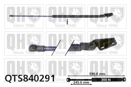 газов амортисьор, багажно/товарно пространство QUINTON HAZELL QTS840291