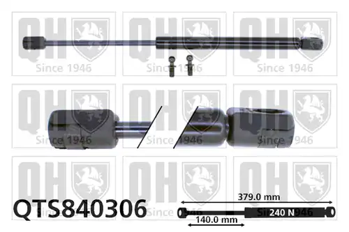 газов амортисьор, багажно/товарно пространство QUINTON HAZELL QTS840306