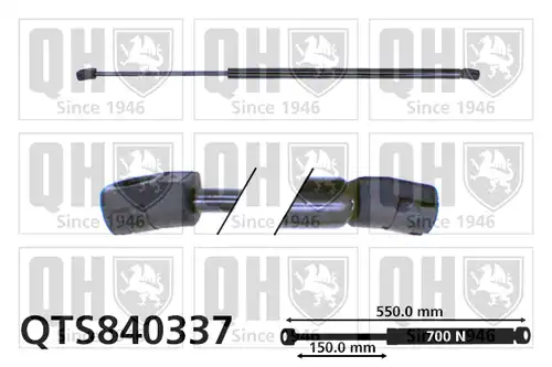 газов амортисьор, багажно/товарно пространство QUINTON HAZELL QTS840337