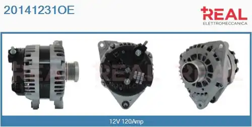 генератор REAL 20141231OE