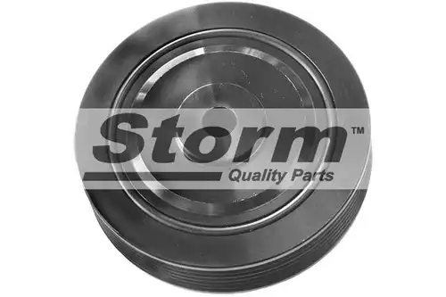  STORM QUALITY PARTS 87192