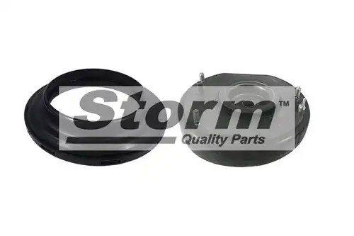  STORM QUALITY PARTS F10613