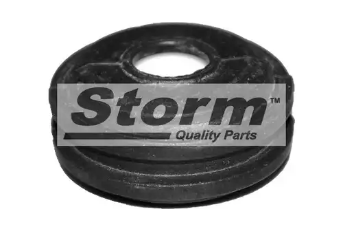  STORM QUALITY PARTS F2199