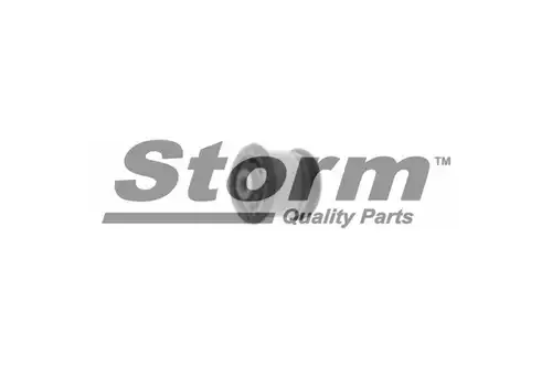  STORM QUALITY PARTS F2289