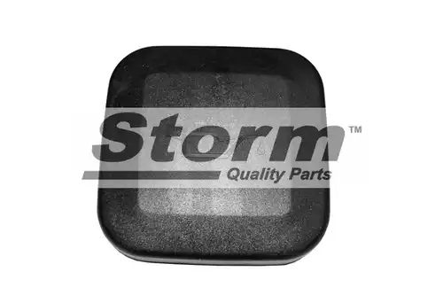  STORM QUALITY PARTS F4544