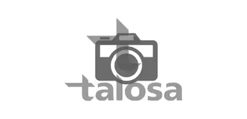 прахозащитен комплект, амортисьор TALOSA 63-15319